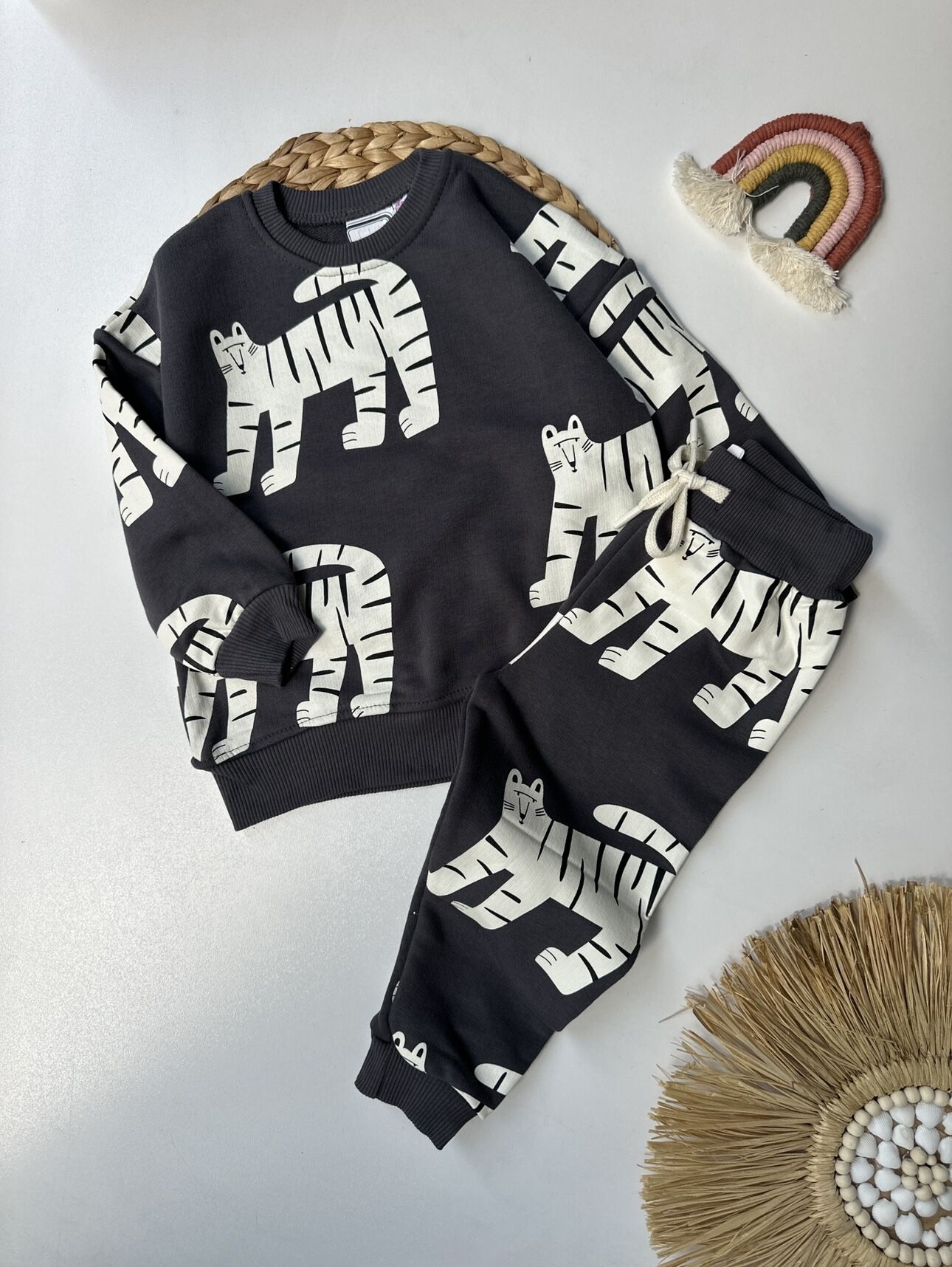 Zebra Model takım