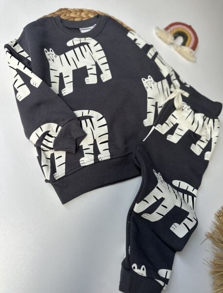 Zebra Model takım