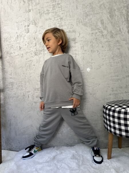Basic model