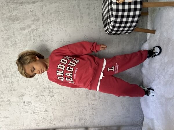 Basic model takım